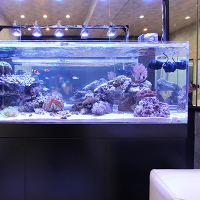 92% Trasmissione Plastica trasparente Acquario Foglio acrilico 1220*2440mm