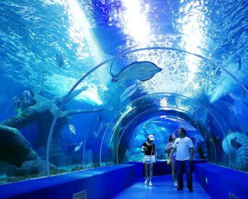 Lastra Spessa in Acrilico Colato per Uso Intensivo, Grande Pannello Trasparente per Acquari, Oceanari, Tunnel, Finestre di Osservazione Subacquea